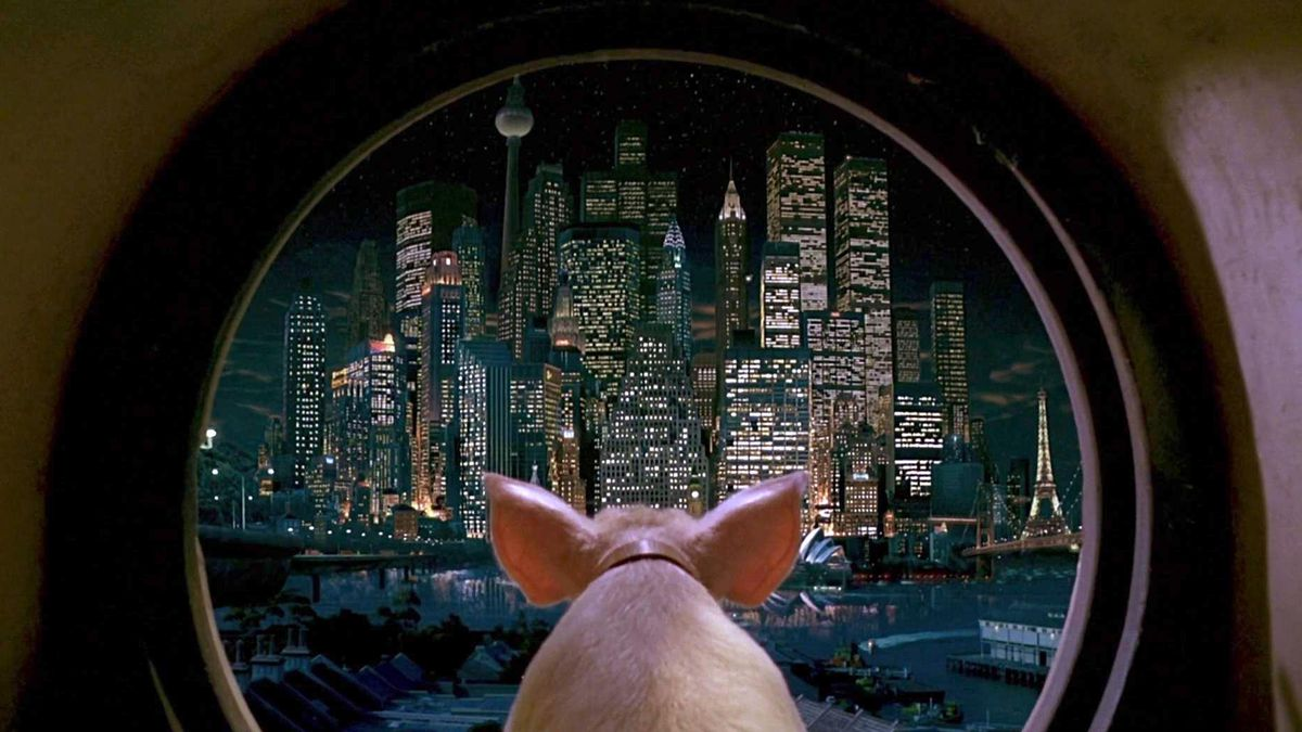 An image of Babe the pig from the 1998 film Babe: Pig in the City staring out at a city's skyline