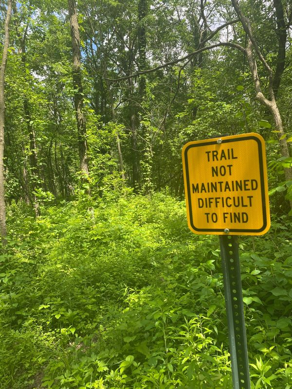 A picture of crowded with shrubbery and trees with a yellow sign in front that says "Trail Not Maintained Difficult To Find" 
