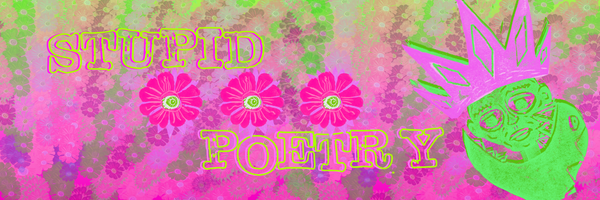 I Never Found You: A Poem